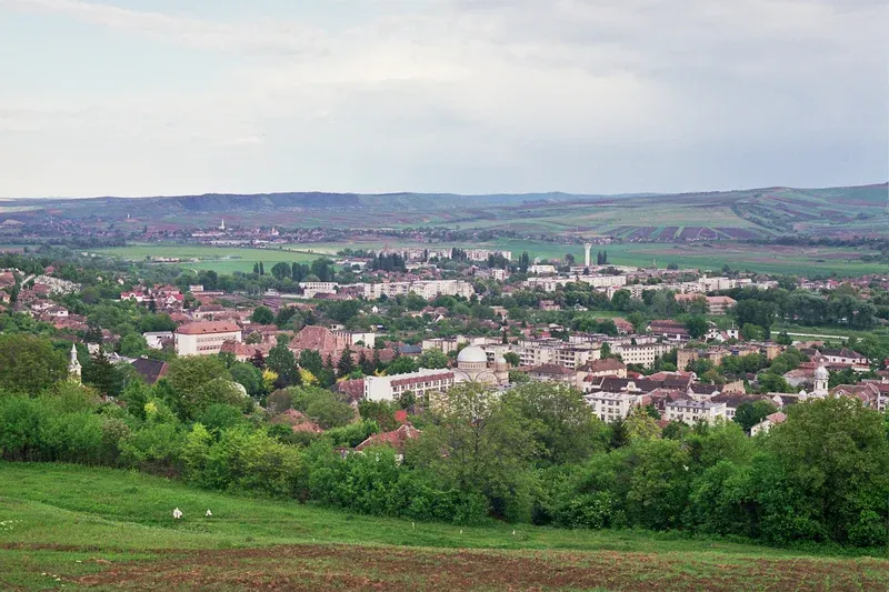 PRIMĂRIA TÂRNĂVENI