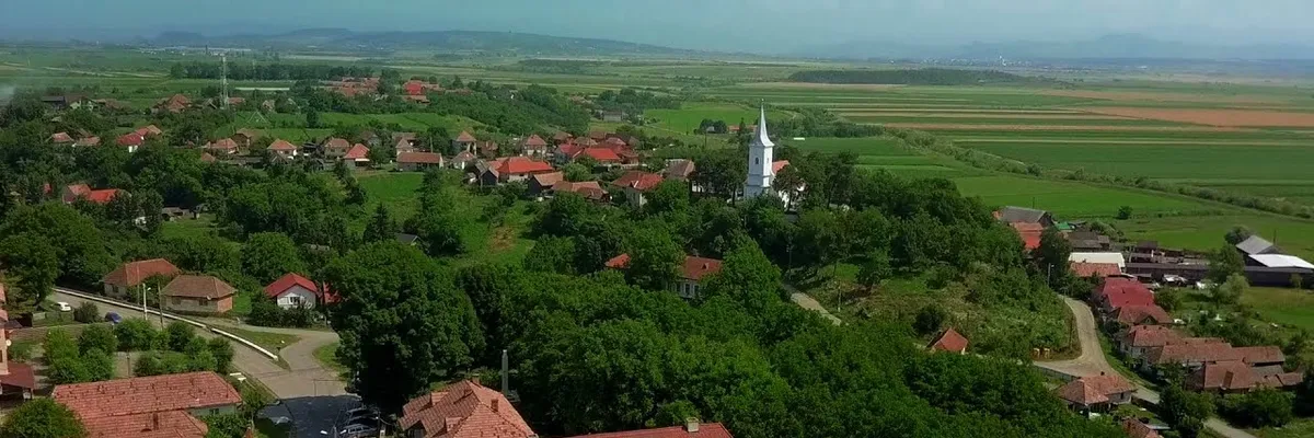 PRIMĂRIA VOIVODENI