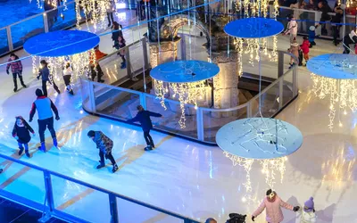 Patinoarele Ecologice. Soluții pentru comunitățile viitorului