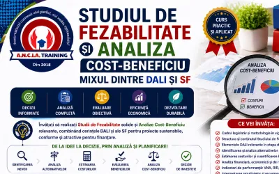 STUDIUL DE FEZABILITATE SI ANALIZA COST-BENEFICIU MIXUL DINTRE DALI SI SF
