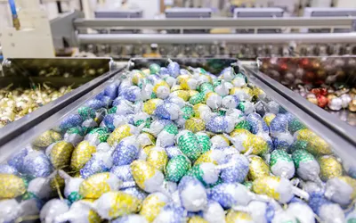 Iustin Cionca a discutat în Germania o vizită de lucru, la Arad, a investitorilor locali