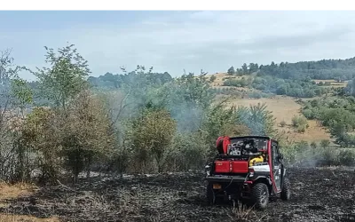 Incendiile de pădure de la Băile Olănești și Domogled arată cât contează accesul pe teren greu