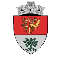 PRIMĂRIA ORAŞU NOU