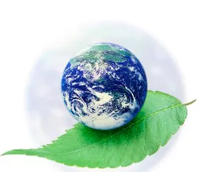 Ce servicii în domeniul protecției mediului oferă Sareco Business Invest deținătorilor și generatorilor de deșeuri, instituții de stat sau private