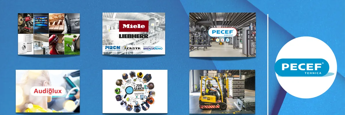 PECEF TEHNICA SRL