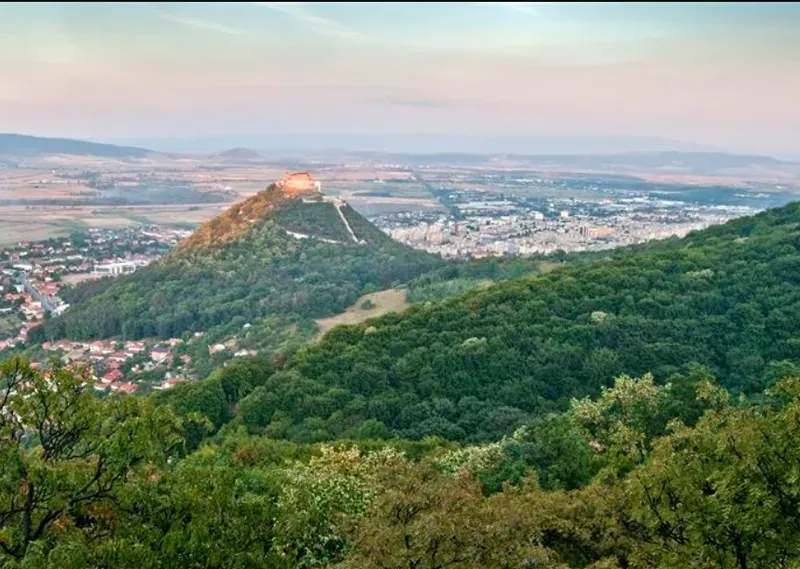 Dezinsecție pentru combaterea țânțarilor pe Dealul Cetății Deva — 28 august 2026, 06:00–07:30