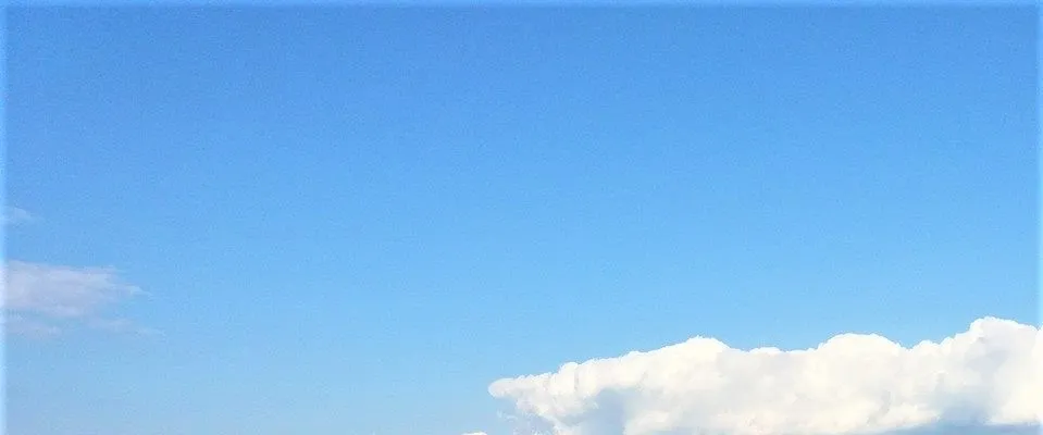 PRIMĂRIA CĂRBUNARI