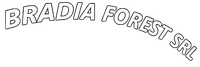 BRADIA FOREST SRL