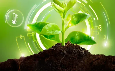 Studiu de caz: RDF își digitalizează activitatea cu ELIAN Solutions și trece la agricultura de precizie