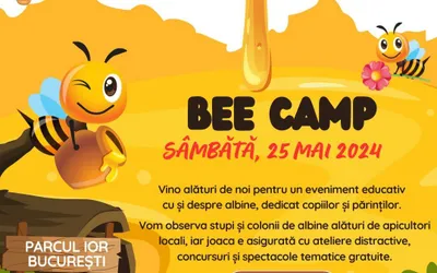 „Bee Love, Bee Camp”!