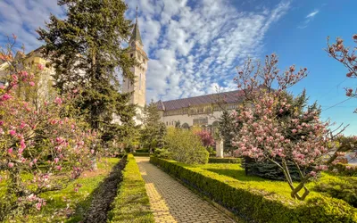 NOIR Game oferă experiențe urbane distractive și educaționale prin joacă