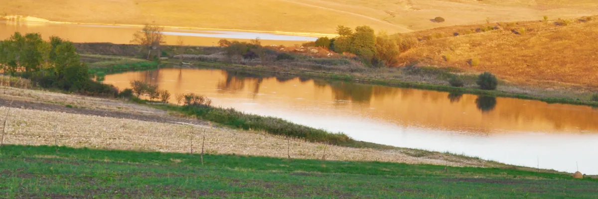 PRIMĂRIA DAIA ROMÂNĂ