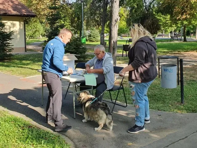 Orădenii deținători de câini nemicrocipați aparținând rasei comune  sunt așteptați la cabinetele veterinare