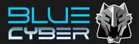 BLUE CYBER CONSULTING SRL