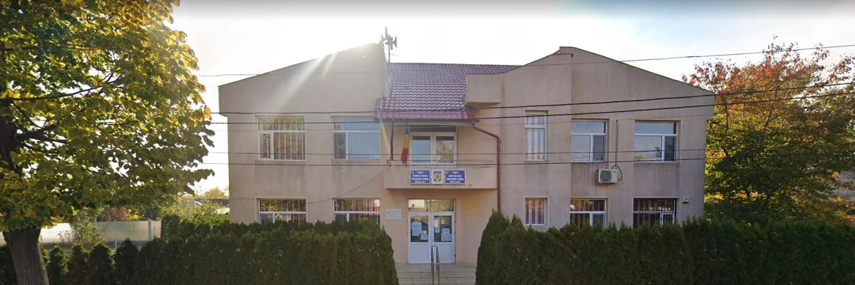 PRIMĂRIA COSTACHE NEGRI