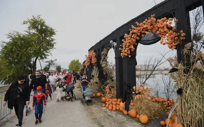 West Side Hallo Fest, cel mai mare festival de Halloween din țară, revine pe Insula Lacul Morii cu o ediție spectaculoasă