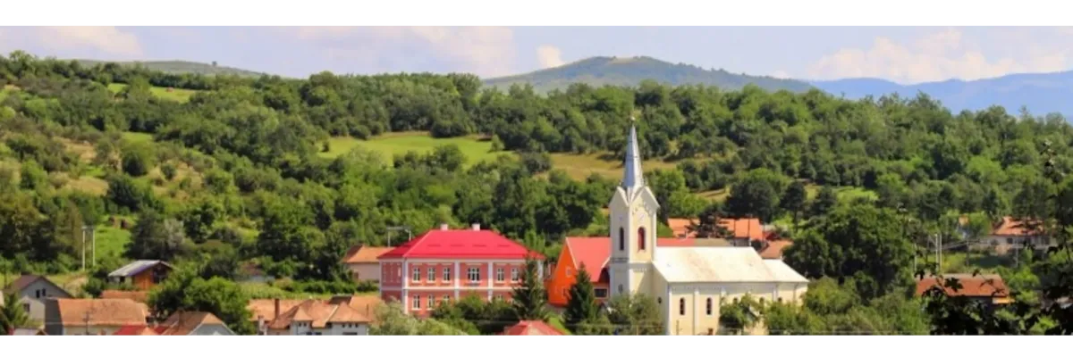 PRIMĂRIA ŞIEU