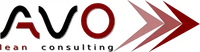 AVO LEAN CONSULTING SRL