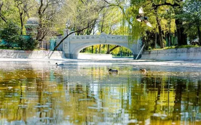 Evenimente Grădina Cișmigiu de Ziua Internațională a Grădinilor Zoologice și Parcurilor