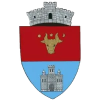 PRIMĂRIA CETATEA DE BALTĂ