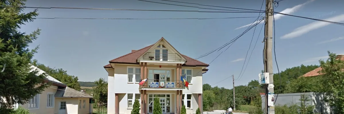 PRIMĂRIA PETRICANI