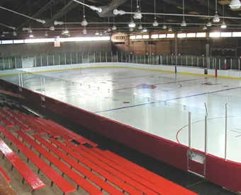 INCALZIRE PARDOSEALA PENTRU INCINTE RECI