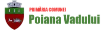 PRIMĂRIA POIANA VADULUI