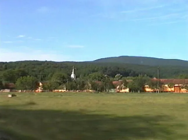 Viziune de primar: Moldovan Petrică , primarul comunei Conop, județul Arad