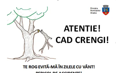 Arborii care prezintă un pericol vor fi semnalizați