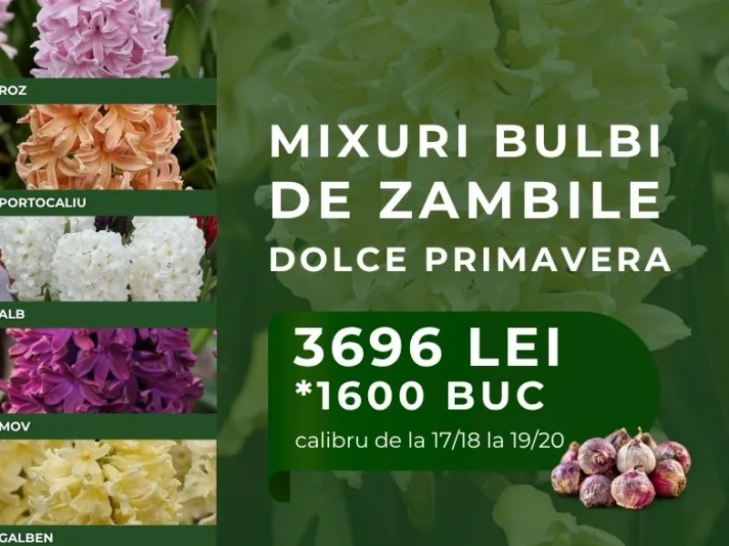 MIX DOLCE PRIMAVERA
