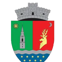 PRIMĂRIA FELICENI