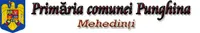 PRIMĂRIA PUNGHINA