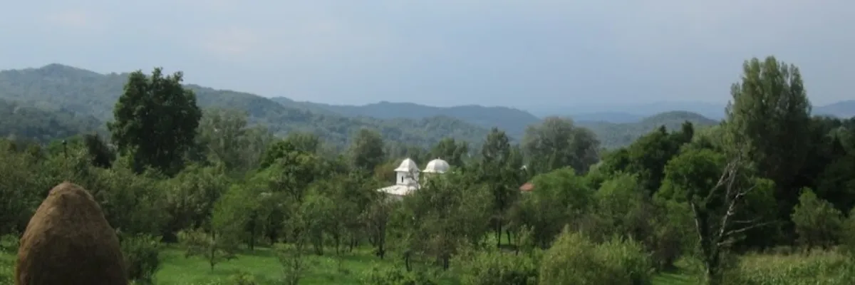 PRIMĂRIA STOENEŞTI