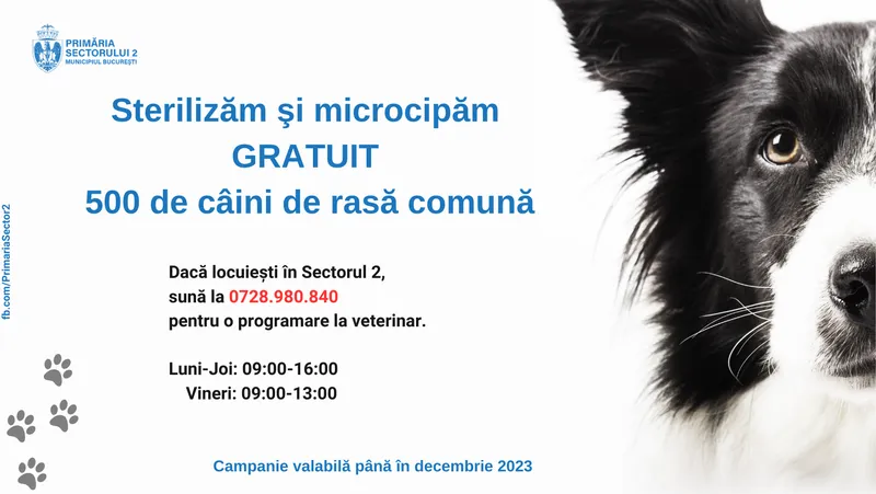 Primăria Sectorului 2 demarează campania de sterilizare şi microcipare gratuită a 500 de câini de rasă comună