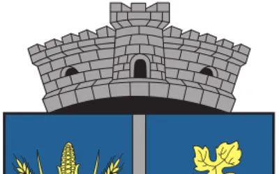 Viziune de primar:  Ing. Tache Constantin, primarul comunei Ghidici, județul Dolj