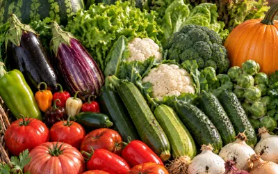 Mix semințe legume Promo FAMILIA – Grădinarul Pasionat