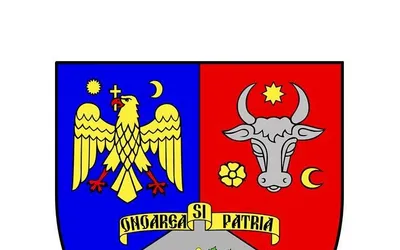 Drumul județean 204D Vulturu-Hânguleşti-Maluri este modernizat: azi s-a făcut  recepția la finalizarea lucrărilor