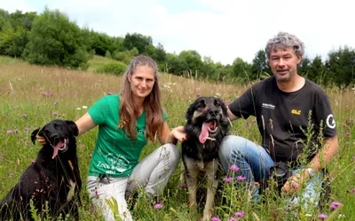 Conservation Carpathia derulează cel mai mare proiect de conservare a naturii din Europa, în zona Munților Făgăraș