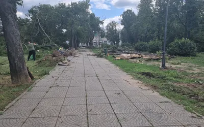 Se curăță parcurile și zonele afectate din cartiere. Cimitirul,  Grădina Zoo și Aquapark-ul sunt deschise