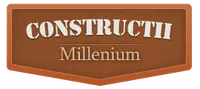 PAVAJE MILENIUM SRL