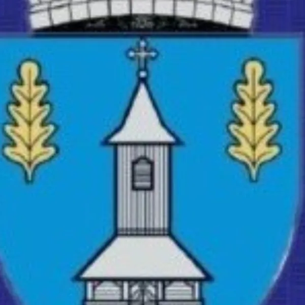 Bilanț de mandat 2020-2024 Moldovan Maria, primarul comunei Beica de jos, județul Mureș