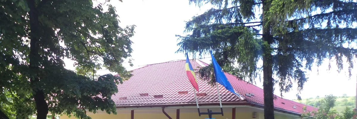 PRIMĂRIA PĂDURENI