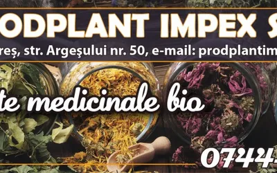 PRODPLANT IMPEX SRL