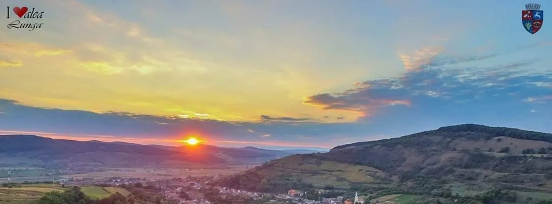 PRIMĂRIA VALEA LUNGĂ