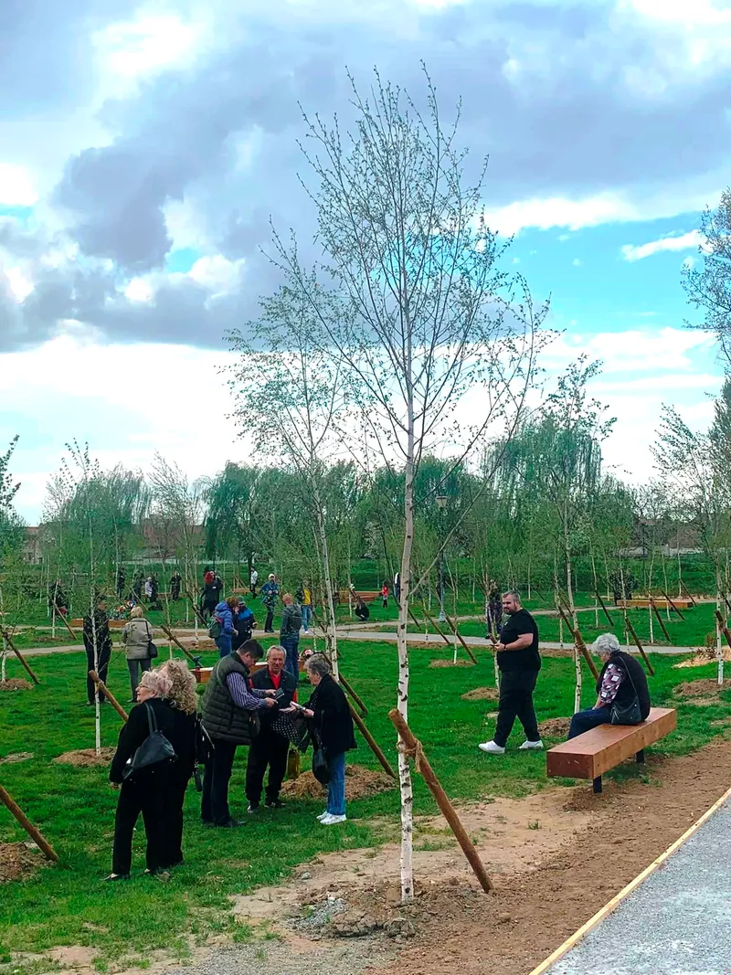 100 de mesteceni plantați în amintire – primul parc tematic din  Oradea