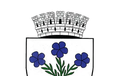 PRIMĂRIA MIERCUREA CIUC