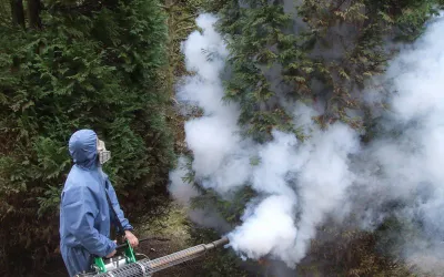 Primăria Municipiului Deva a încheiat contractul cu operatorul serviciului public de salubrizare – activitatea de dezinsecție, dezinfecție și  deratizare