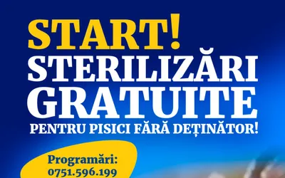 Campanie de șterilizare gratuită a pisicilor fără deținător