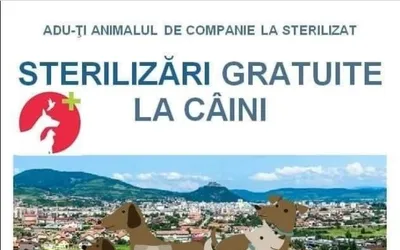 Nu uita de campania gratuită de sterilizare a câinilor cu stăpân ce aparțin rasei comune și a metișilor acestora, derulată de Primăria Municipiului Deva!