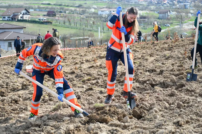 „Bihorul Plantează”, un nou proiect pentru un județ mai verde